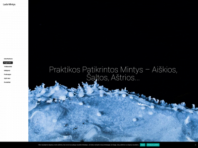 ledomintys.lt snapshot