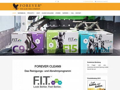 forever-clean9.at snapshot