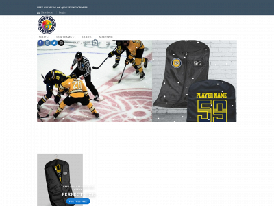 customteamusa.com snapshot