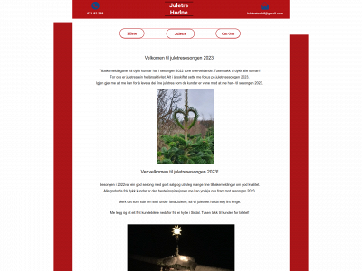 juletrehodne.no snapshot