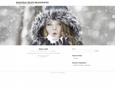 binaural-beats-brainwaves.com snapshot