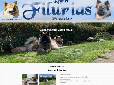 filuria.se snapshot