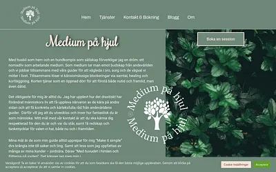 mediumpahjul.se snapshot