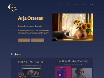 arjaottesen.com snapshot