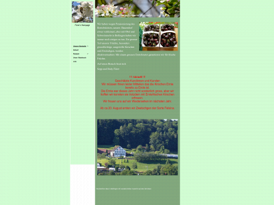 fruechte-fuerer.ch snapshot
