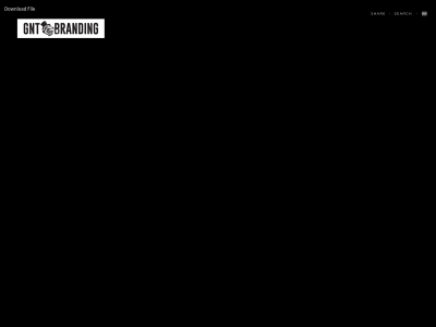 gntbranding.com snapshot