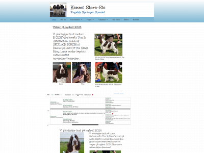 kennelstoreste.com snapshot