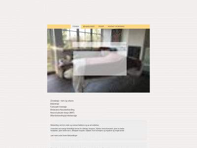 noedebozoneterapi.dk snapshot
