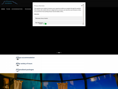 arcticlaplandtours.com snapshot