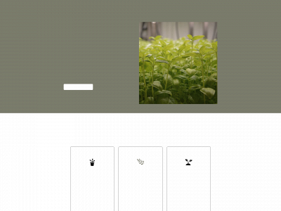 planteringen.com snapshot
