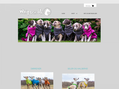 whipsen.dk snapshot