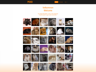 pexo.dk snapshot