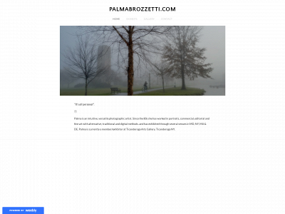 www.palmabrozzetti.com snapshot