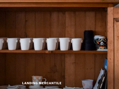 landingmercantile.com snapshot