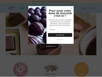 chocolatsandree.com snapshot