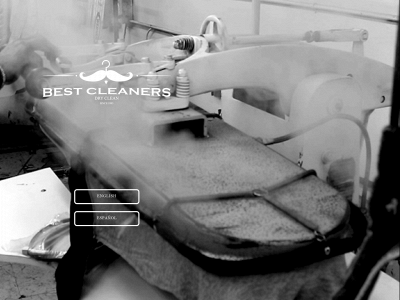 bestcleanersonline.com snapshot