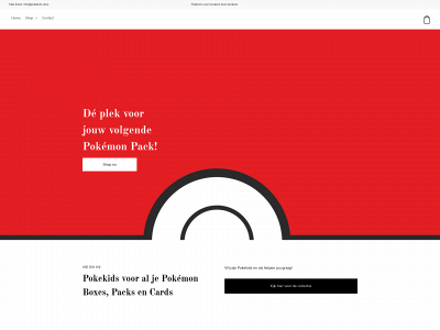 pokekids.store snapshot