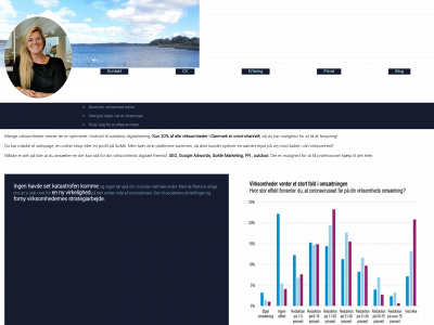 strategyboost.online snapshot