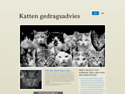 kattengedragsadvies.be snapshot