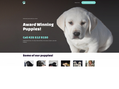 tlclabradorretrieverpuppies.com snapshot