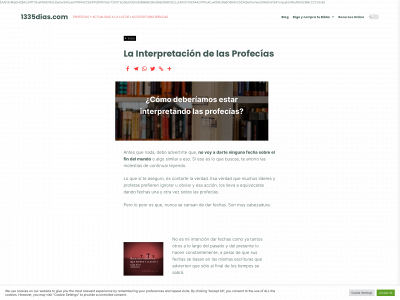 1335dias.com snapshot