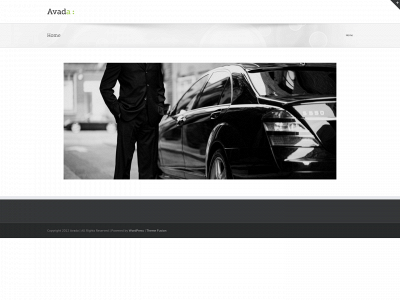 antwerp-airportservice.be snapshot