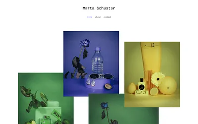 martaschuster.com snapshot
