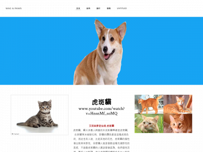 abcd44.weebly.com snapshot