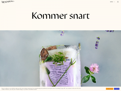 meyenberg.dk snapshot