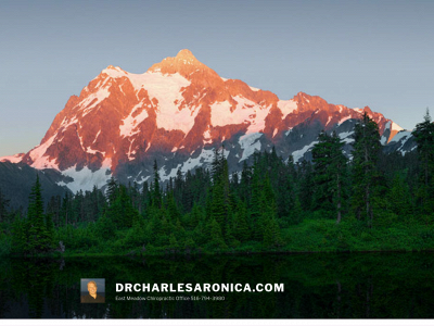 drcharlesaronica.com snapshot