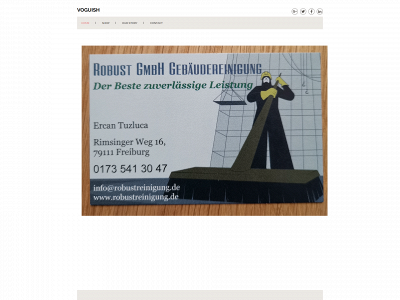 robustreinigung.de snapshot