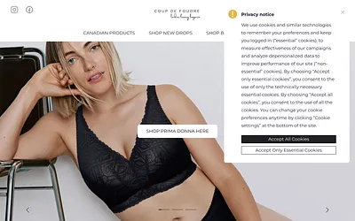 coupdefoudrelingerie.ca snapshot