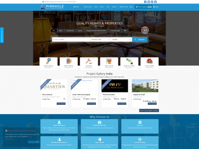 pinnacleproperties4u.com snapshot