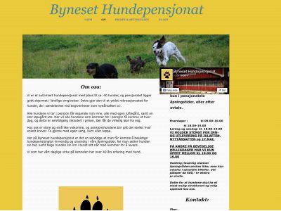 bynesethundepensjonat.com snapshot