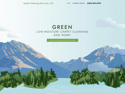 saylescleaning.com snapshot