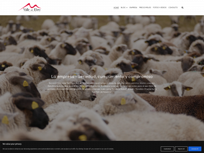valledelebro.es snapshot
