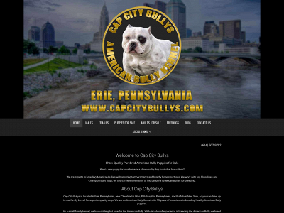 capcitybullys.com snapshot