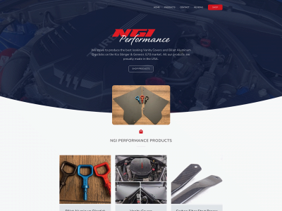 ngiperformance.com snapshot