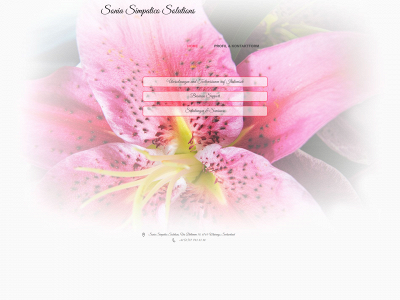 soniasimpatico.solutions snapshot