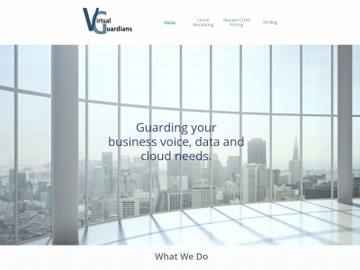 virtual-guardians.com snapshot