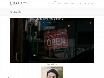 piezodigital.com snapshot