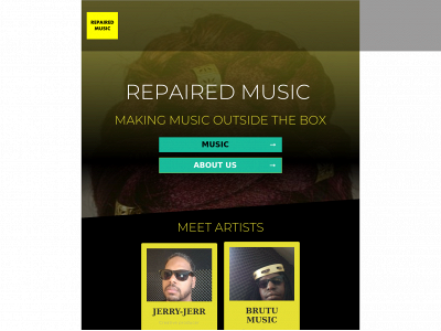 repairedmusic.com snapshot