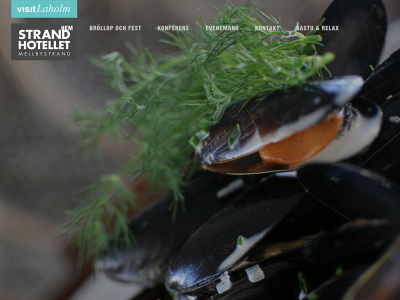 strandhotellet.com snapshot