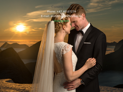 fotografbryllup.no snapshot
