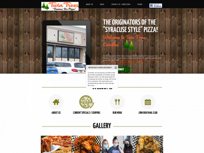 ttpizzacamillus.com snapshot