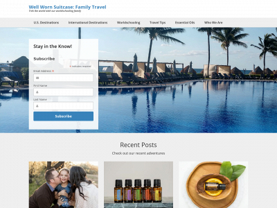 wellwornsuitcase.com snapshot