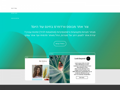 webify.co.il snapshot