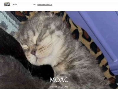 mother-of-all-cats.com snapshot