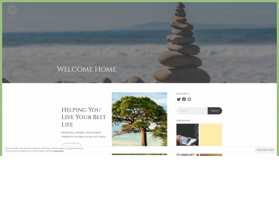 mindfulsuccesscoaching.com snapshot