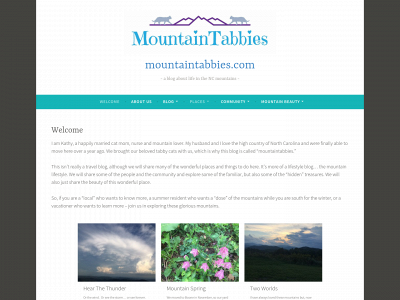 mountaintabbies.com snapshot